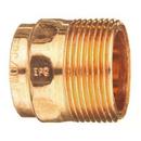 Copper DWV Male Adapter 