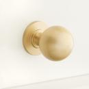 Signature Hardware Matte Black 1 in. Brass Round Cabinet Knob 