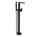 Exposed Tub and Hand Shower Set - Free Standing