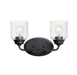 60W 2-Light Medium E-26 Incandescent Vanity Fixture in Black