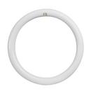 Feit Electric White 12 in. T9 Circline 4-Pin LED Bulb 