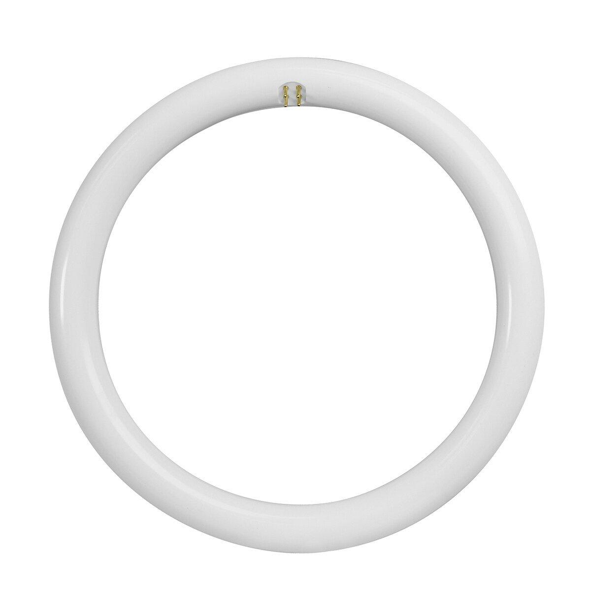 Feit Electric White 12 in. T9 Circline 4-Pin LED Bulb 