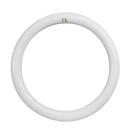 Feit Electric White 12 in. T9 Circline 4-Pin LED Bulb 