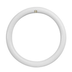 20W 12 in. LED T9 Circline 4-Pin Base 4100 Kelvin Bulb in White