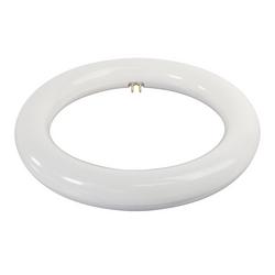 15W 8 in. LED T9 Circline 4-Pin Base 4100 Kelvin Bulb in White