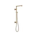 No Handle Multi Function Shower System in Brilliance® Champagne Bronze