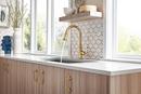 Brizo Polished Gold Monoblock Single Handle Pull Down Kitchen Faucet 