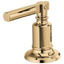 Two Handle Brass Lever Handle Kit in Brilliance® Polished Gold