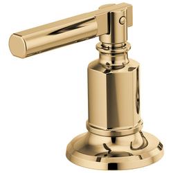 Two Handle Brass Lever Handle Kit in Brilliance&reg; Polished Gold