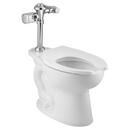 American Standard Polished Chrome Sensor Flush Valve in Polished Chrome 