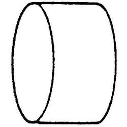 1/8 in. FNPT 316 Stainless Steel Cap