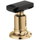 Two Handle Brass Knob Handle Kit in Brilliance® Polished Gold/Black Crystal