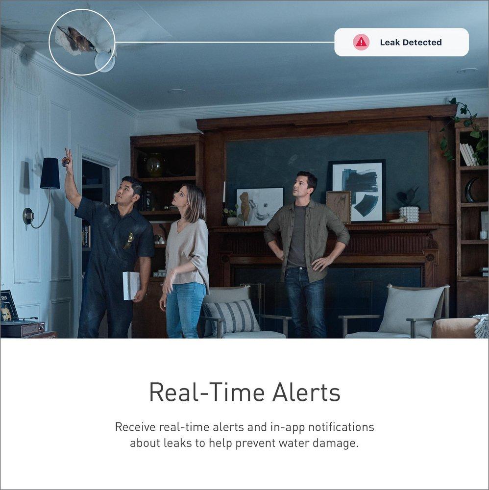 Moen Blue Residential Leak Detector 