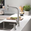 Single Handle Kitchen Faucet in Steel Optic 
