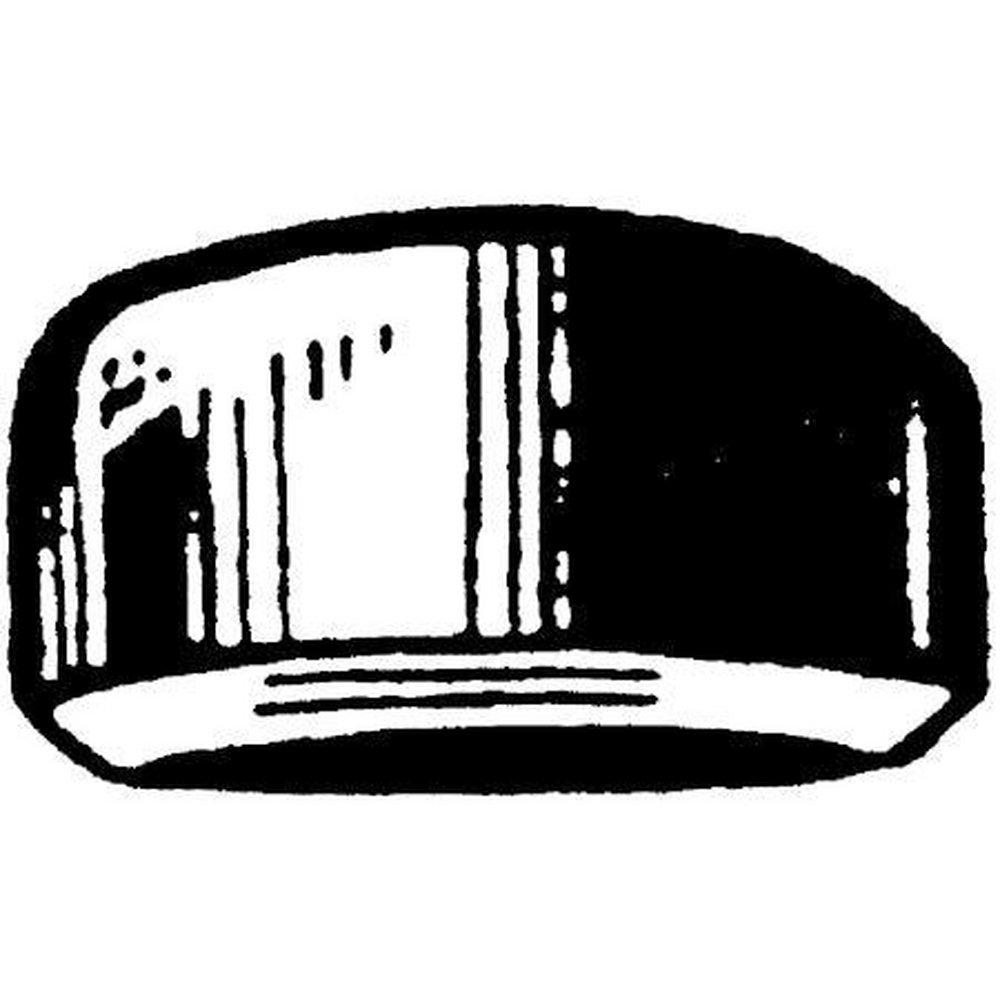 Schedule 10 Global 316L Stainless Steel Cap 