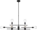 NUVO Black 60W 8-Light Medium E-26 Incandescent Pendant Light 