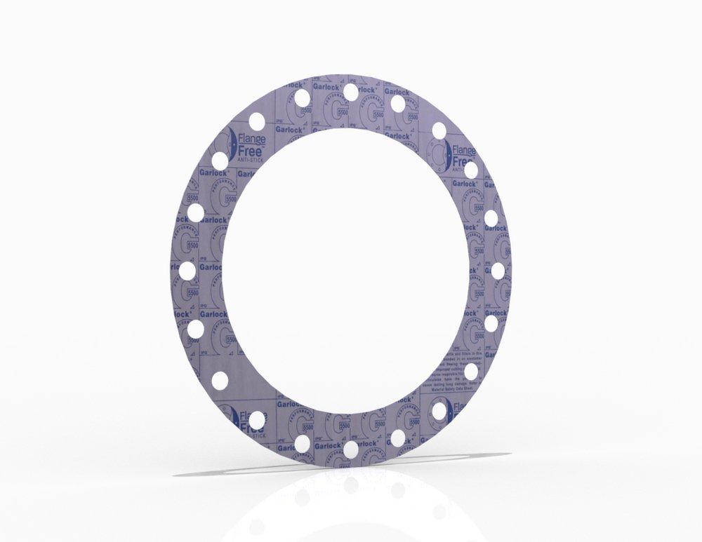 20 5500 150# 1/16 FF GSKT 