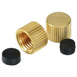 Cap Assembly 1/2 and 3/4 in. Valve Repair Part