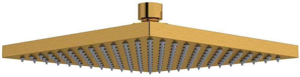 Showerhead in Brushed Gold 
