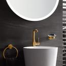 GROHE Brushed Cool Sunrise Round Open Towel Ring 