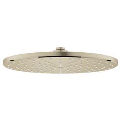 Single Function Showerhead in Brushed Nickel