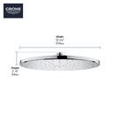 GROHE Graphite Single PureRain,Full and Rain Showerhead 