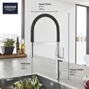 GROHE Sunrise Single Handle Pull Out Kitchen Faucet 