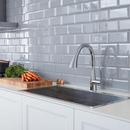 GROHE StarLight&reg; Chrome Monoblock Single Handle Pull Out Kitchen Faucet 