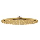 GROHE Brushed Cool Sunrise Single PureRain,Full and Rain Showerhead 