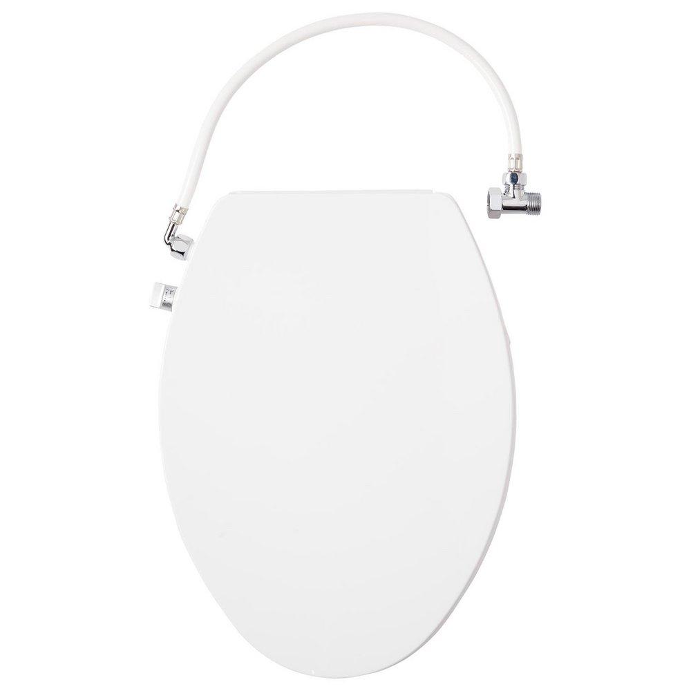 Carraway Two-Piece Skirted Elongated Toilet - ADA Compliant - White 