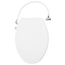 Carraway Two-Piece Skirted Elongated Toilet - ADA Compliant - White 