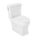 Carraway Two-Piece Skirted Elongated Toilet - ADA Compliant - White 
