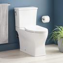 Carraway Two-Piece Skirted Elongated Toilet - ADA Compliant - White 