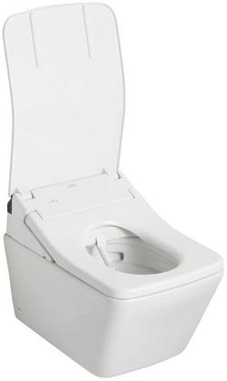 Square Wall Hung Toilet Bowl in Cotton