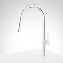 Signature Hardware Chrome Single Handle Pull Down Kitchen Faucet 