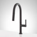 Signature Hardware Matte Black Single Handle Pull Down Kitchen Faucet 
