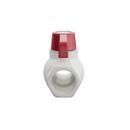 PROFLO&reg; Plastic Full Port Solvent Weld Ball Valve 