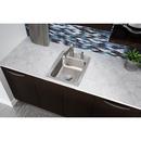 Elkay Lustrous Satin 17 x 22 in. Stainless Steel Single Bowl Drop-in Kitchen Sink in Lustrous Satin 