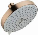Multi Function Showerhead in Brushed Bronze