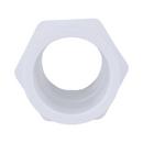 White PVC Schedule 40 Male Adapter 