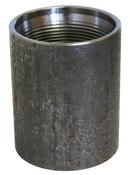 2 in. Galvanized Carbon Steel Coupling