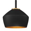 Miseno Black/Antique Brass 9 in. 100W 1-Light Medium E-26 Pendant 