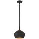 100W 1-Light Medium E-26 Pendant in Black with Antique Brass