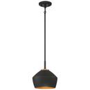 9 in. 100W 1-Light Medium E-26 Pendant in Black with Antique Brass