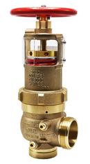 2-1/2 in. 400 psi Cast Bronze Grooved x Male Threaded Pressure Reducing Valve