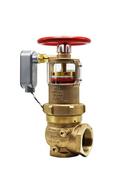 Zurn Wilkins Rough Bronze 400 psi Cast Bronze and Rubber FNPT Pressure Reducing Valve 