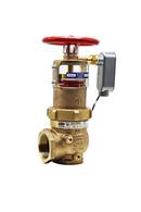Zurn Wilkins Rough Bronze 400 psi Cast Bronze and Rubber FNPT Pressure Reducing Valve 