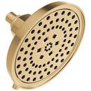 Multi Function Showerhead in Polished Gold