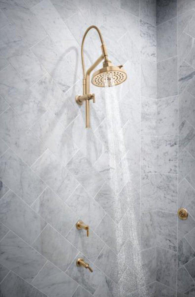 Brizo Chrome Multi Function H2Okinetic Technology&reg; Full Body, Full Body, Massaging Spray and Pause Showerhead 