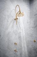 Brizo Chrome Multi Function H2Okinetic Technology&reg; Full Body, Full Body, Massaging Spray and Pause Showerhead 